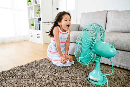 Dehumidifiers You Can Trust in Richmond Hill