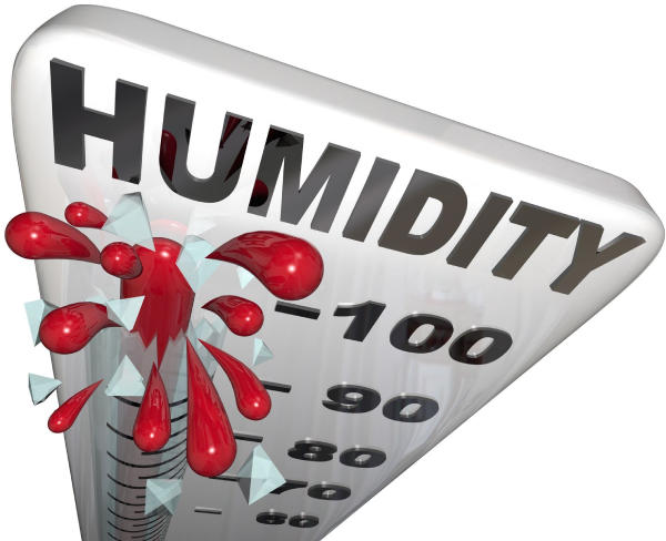 High Humidity in Richmond Hill, Georgia